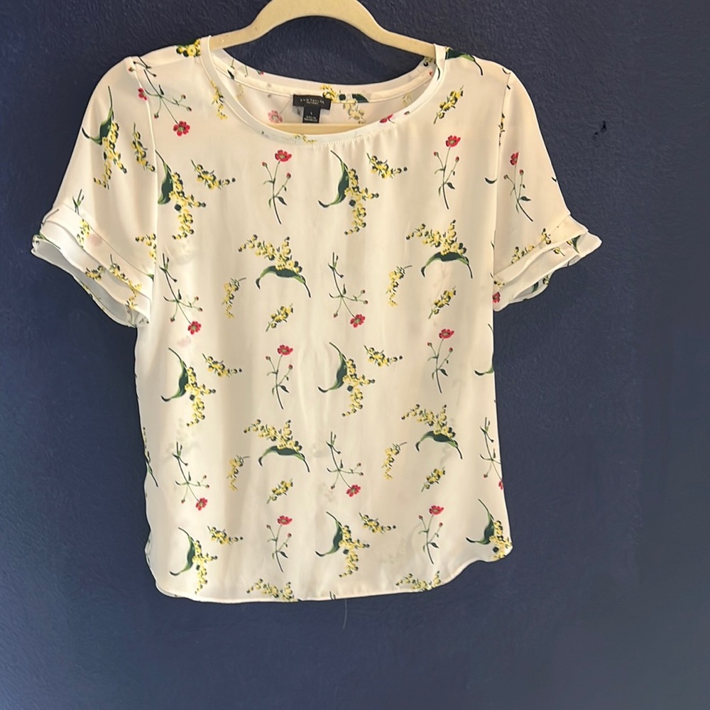 Ann Taylor blouse